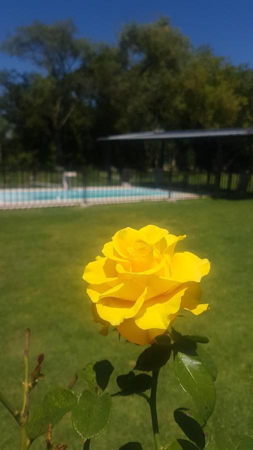 Don Mateo - Casa De Campo Hotel Salta Kültér fotó